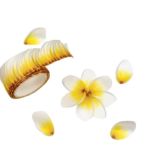 8093】海外特価マステ3/5/巻売りホログラムマスキングテープお花系